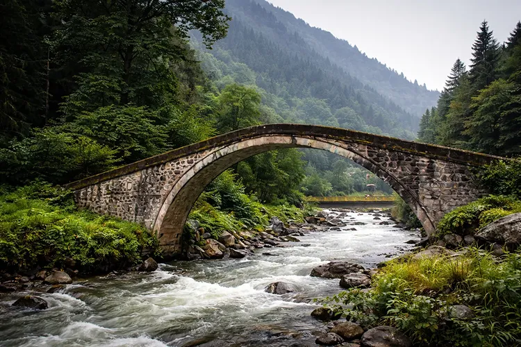 The road following the Fırtına River through the green valley toward Çamlıhemşin